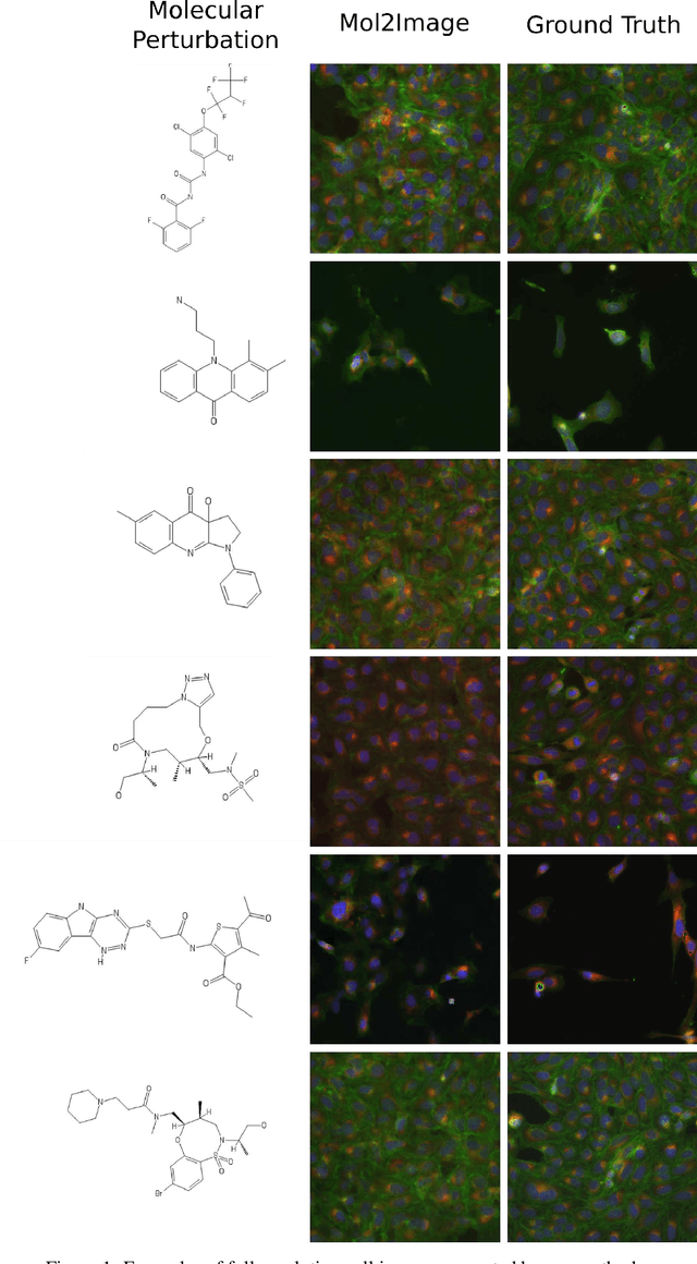 Figure 2 for Improved Conditional Flow Models for Molecule to Image Synthesis