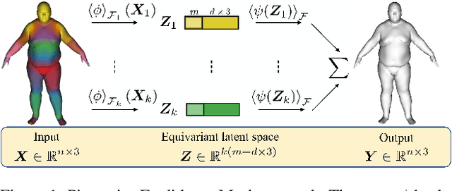 Figure 1 for Frame Averaging for Equivariant Shape Space Learning