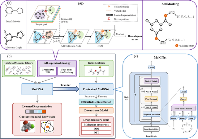 Figure 1 for Learn molecular representations from large-scale unlabeled molecules for drug discovery