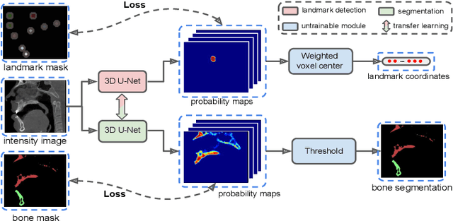 Figure 3 for SkullEngine: A Multi-stage CNN Framework for Collaborative CBCT Image Segmentation and Landmark Detection