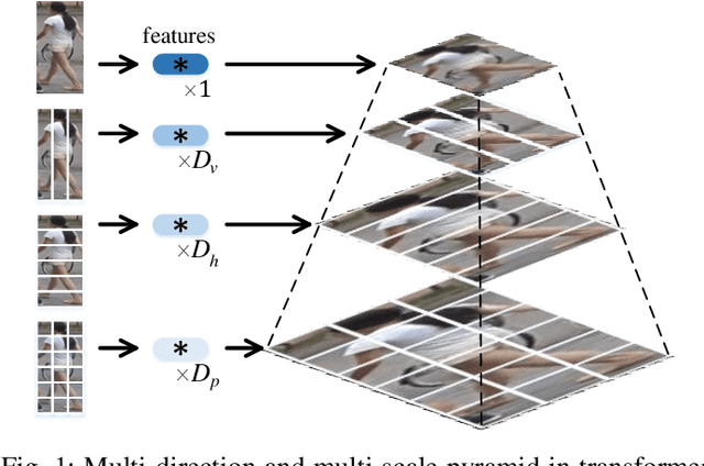 Figure 1 for Multi-direction and Multi-scale Pyramid in Transformer for Video-based Pedestrian Retrieval