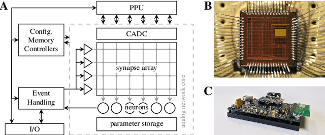Figure 1 for Structural plasticity on an accelerated analog neuromorphic hardware system