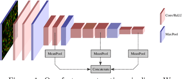 Figure 1 for Phenotypic Profiling of High Throughput Imaging Screens with Generic Deep Convolutional Features