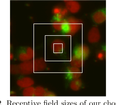 Figure 2 for Phenotypic Profiling of High Throughput Imaging Screens with Generic Deep Convolutional Features