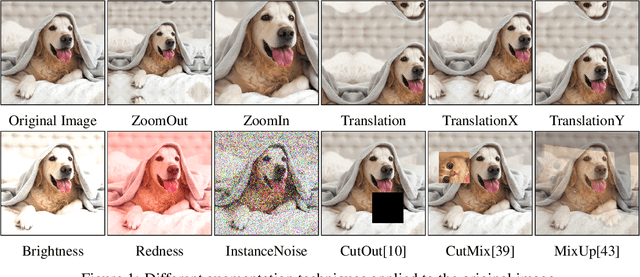 Figure 1 for Image Augmentations for GAN Training