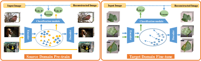 Figure 3 for Boosting the Generalization Capability in Cross-Domain Few-shot Learning via Noise-enhanced Supervised Autoencoder