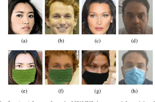 Figure 2 for Mask-invariant Face Recognition through Template-level Knowledge Distillation