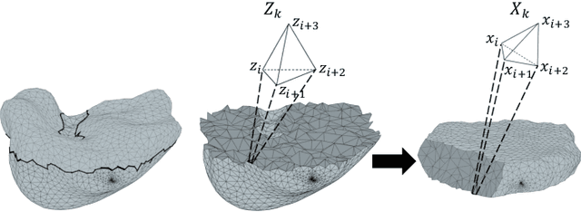 Figure 1 for Volumetric Parameterization of the Placenta to a Flattened Template