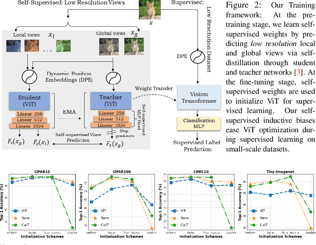 Figure 3 for How to Train Vision Transformer on Small-scale Datasets?