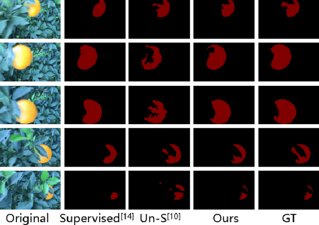 Figure 1 for Combining Supervised and Un-supervised Learning for Automatic Citrus Segmentation