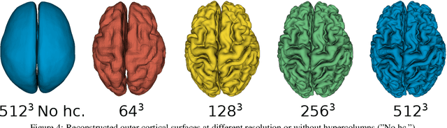 Figure 4 for DeepCSR: A 3D Deep Learning Approach for Cortical Surface Reconstruction