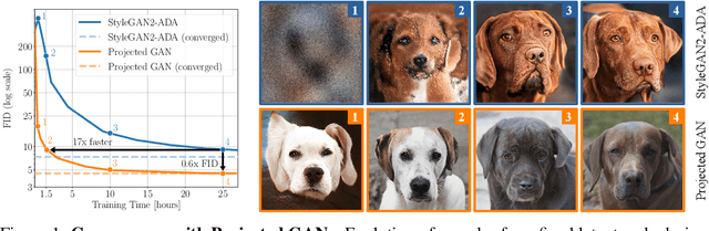 Figure 1 for Projected GANs Converge Faster