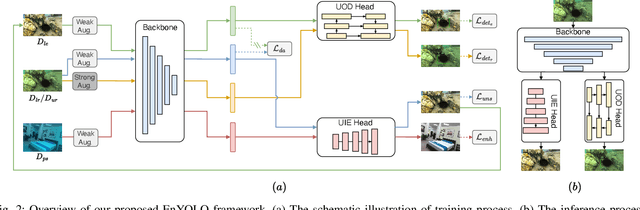 Figure 2 for A Real-Time Framework for Domain-Adaptive Underwater Object Detection with Image Enhancement