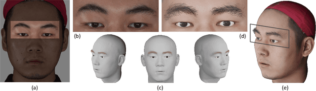 Figure 1 for EMS: 3D Eyebrow Modeling from Single-view Images