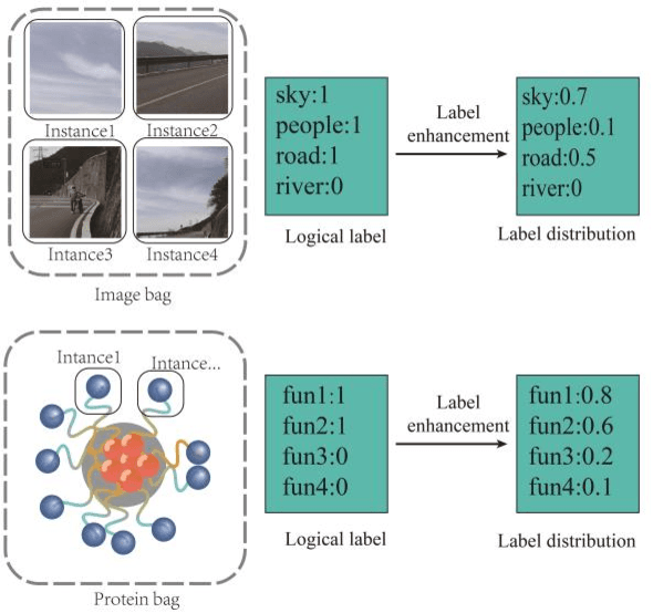 Figure 1 for Graph based Label Enhancement for Multi-instance Multi-label learning