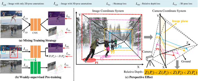 Figure 1 for Weakly-supervised Pre-training for 3D Human Pose Estimation via Perspective Knowledge