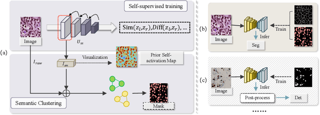 Figure 1 for Exploring Unsupervised Cell Recognition with Prior Self-activation Maps