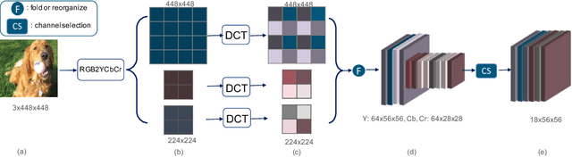 Figure 3 for Explicitly Increasing Input Information Density for Vision Transformers on Small Datasets