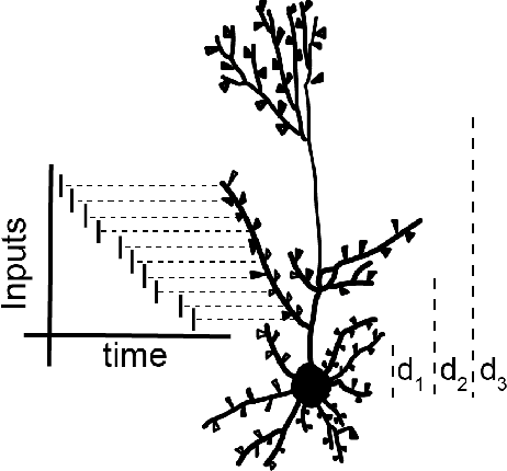 Figure 1 for Dendritic Computation through Exploiting Resistive Memory as both Delays and Weights
