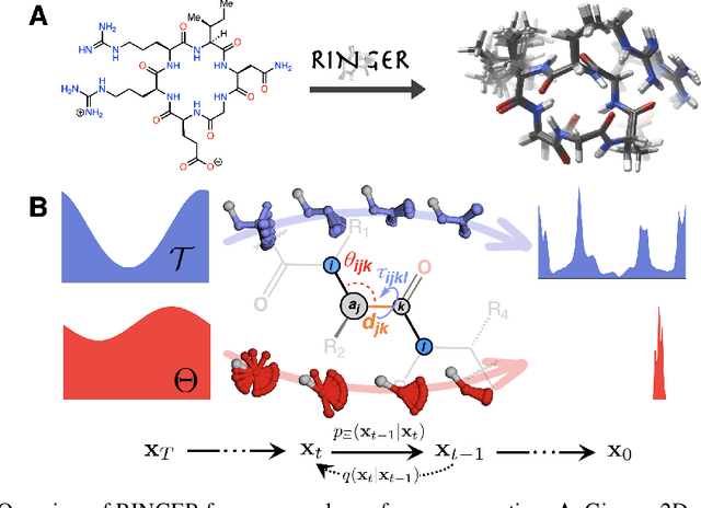 Figure 1 for RINGER: Rapid Conformer Generation for Macrocycles with Sequence-Conditioned Internal Coordinate Diffusion