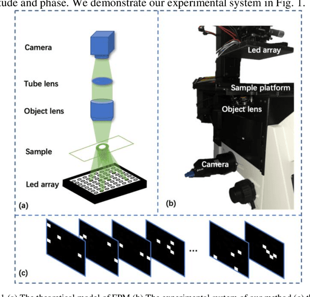 Figure 1 for Adaptive coded illumination Fourier ptychography microscopy based on physical neural network