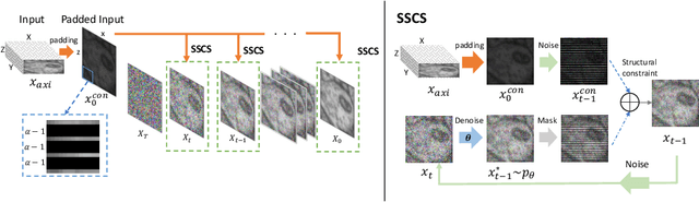 Figure 1 for DiffuseIR:Diffusion Models For Isotropic Reconstruction of 3D Microscopic Images