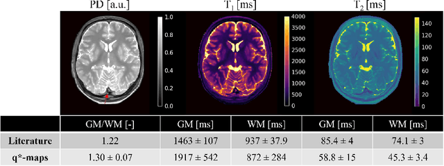 Figure 4 for Generalizable synthetic MRI with physics-informed convolutional networks
