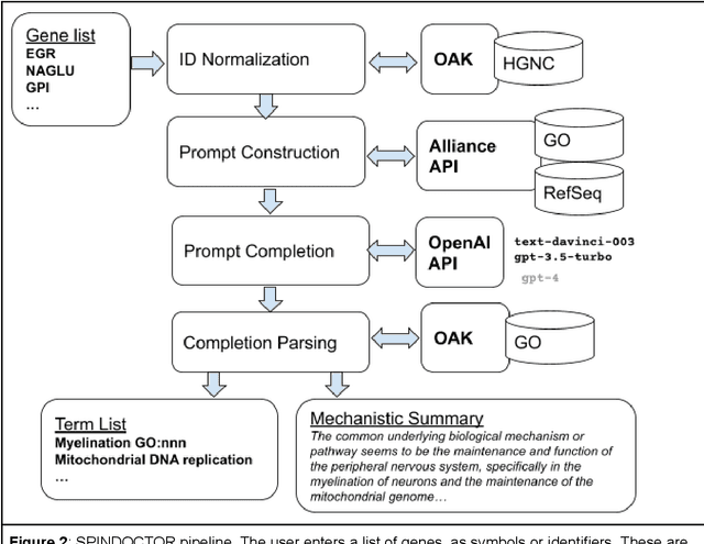 Figure 2 for Gene Set Summarization using Large Language Models