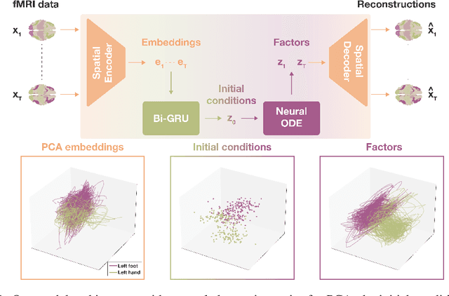 Figure 1 for Learning low-dimensional dynamics from whole-brain data improves task capture