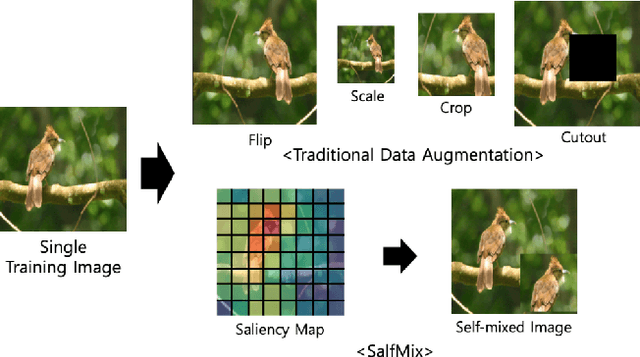 Figure 2 for Advanced Data Augmentation Approaches: A Comprehensive Survey and Future directions