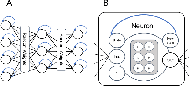 Figure 1 for Learning to Act through Evolution of Neural Diversity in Random Neural Networks