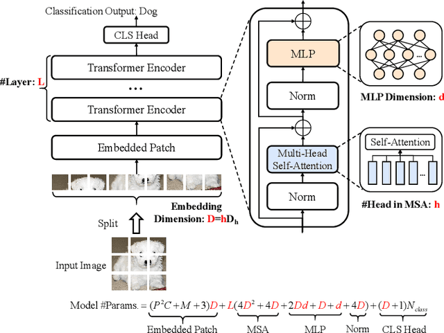 Figure 1 for DeViT: Decomposing Vision Transformers for Collaborative Inference in Edge Devices
