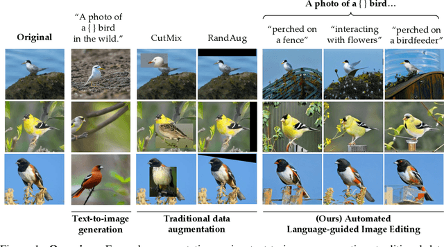 Figure 1 for Diversify Your Vision Datasets with Automatic Diffusion-Based Augmentation
