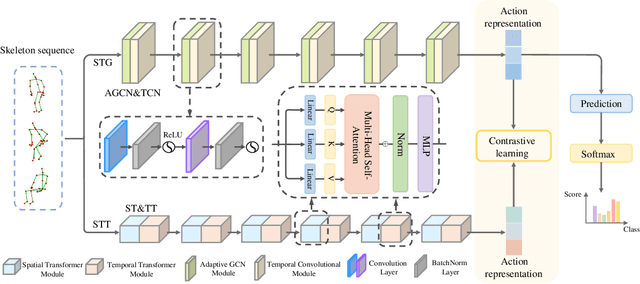 Figure 1 for Skeleton-based Action Recognition through Contrasting Two-Stream Spatial-Temporal Networks