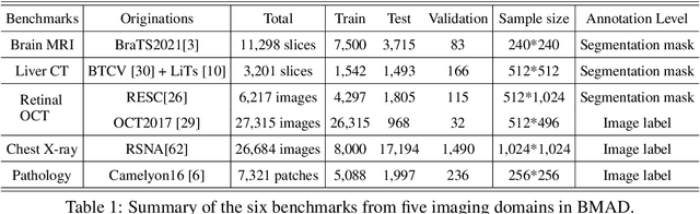 Figure 2 for BMAD: Benchmarks for Medical Anomaly Detection