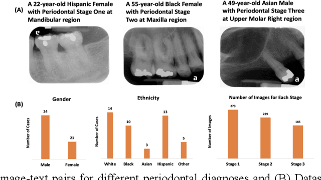 Figure 3 for Dental CLAIRES: Contrastive LAnguage Image REtrieval Search for Dental Research