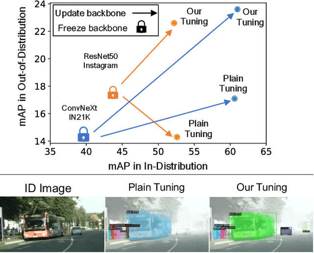 Figure 1 for Mind the Backbone: Minimizing Backbone Distortion for Robust Object Detection