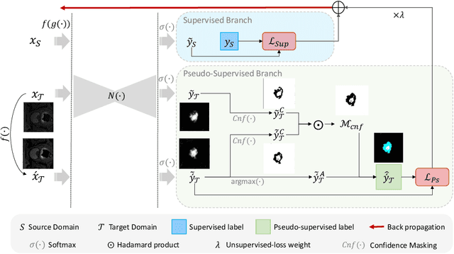 Figure 3 for Domain Adaptation for Medical Image Segmentation using Transformation-Invariant Self-Training
