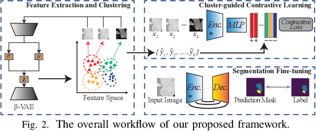 Figure 2 for Unsupervised Feature Clustering Improves Contrastive Representation Learning for Medical Image Segmentation