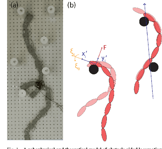 Figure 1 for Gait design for limbless obstacle aided locomotion using geometric mechanics