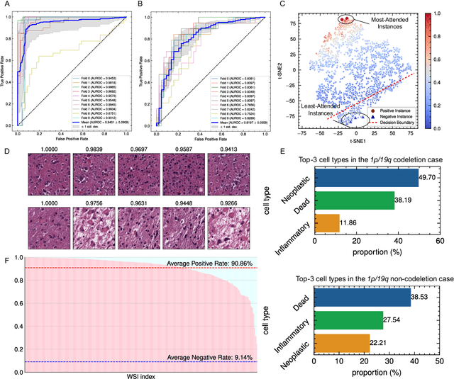 Figure 3 for Deep Learning Predicts Biomarker Status and Discovers Related Histomorphology Characteristics for Low-Grade Glioma