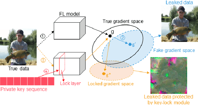 Figure 1 for Gradient Leakage Defense with Key-Lock Module for Federated Learning