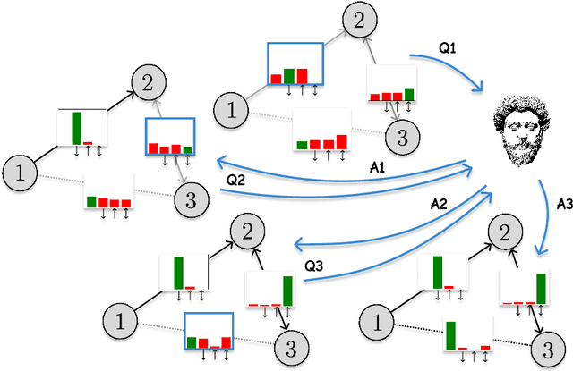 Figure 1 for Human-in-the-Loop Causal Discovery under Latent Confounding using Ancestral GFlowNets