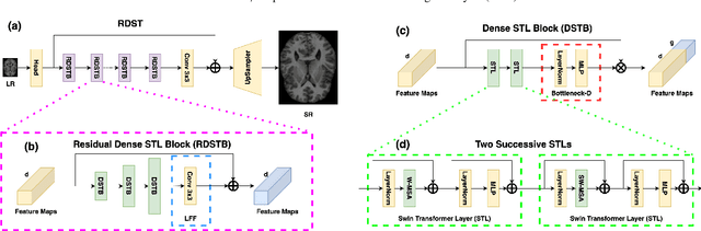 Figure 1 for A residual dense vision transformer for medical image super-resolution with segmentation-based perceptual loss fine-tuning