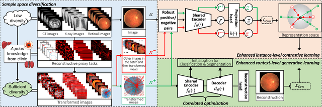 Figure 1 for A Knowledge-based Learning Framework for Self-supervised Pre-training Towards Enhanced Recognition of Medical Images