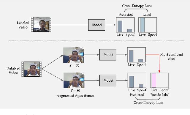 Figure 2 for Semi-Supervised learning for Face Anti-Spoofing using Apex frame