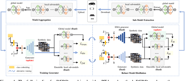 Figure 1 for DFRD: Data-Free Robustness Distillation for Heterogeneous Federated Learning
