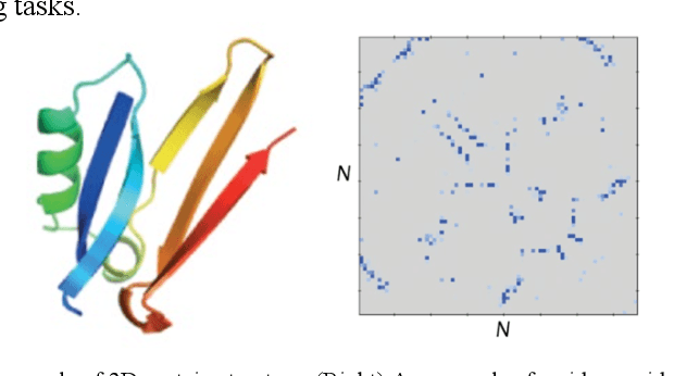 Figure 1 for Multiscale Graph Neural Networks for Protein Residue Contact Map Prediction