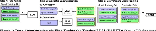 Figure 1 for Text Data Augmentation in Low-Resource Settings via Fine-Tuning of Large Language Models