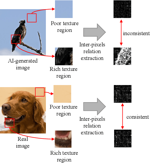 Figure 2 for Rich and Poor Texture Contrast: A Simple yet Effective Approach for AI-generated Image Detection
